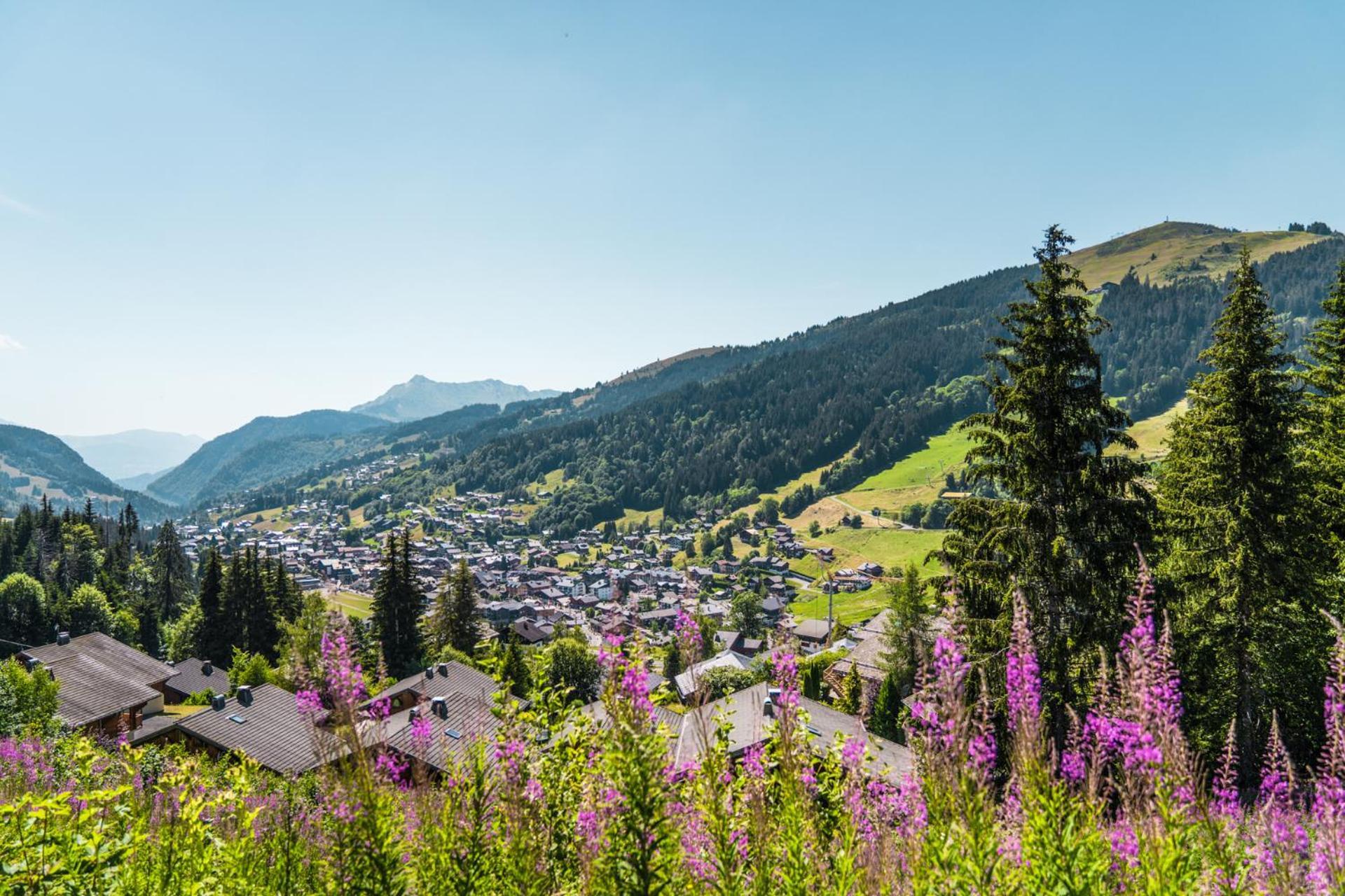 Annapurna By Alpine Resorts Les Gets Eksteriør bilde